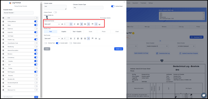 Log text format